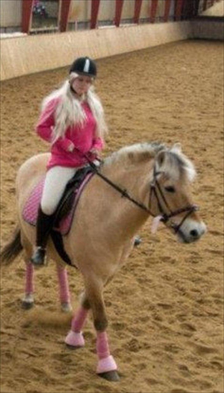 Fjordhest Buller - Mig og min barbiehest! billede 2