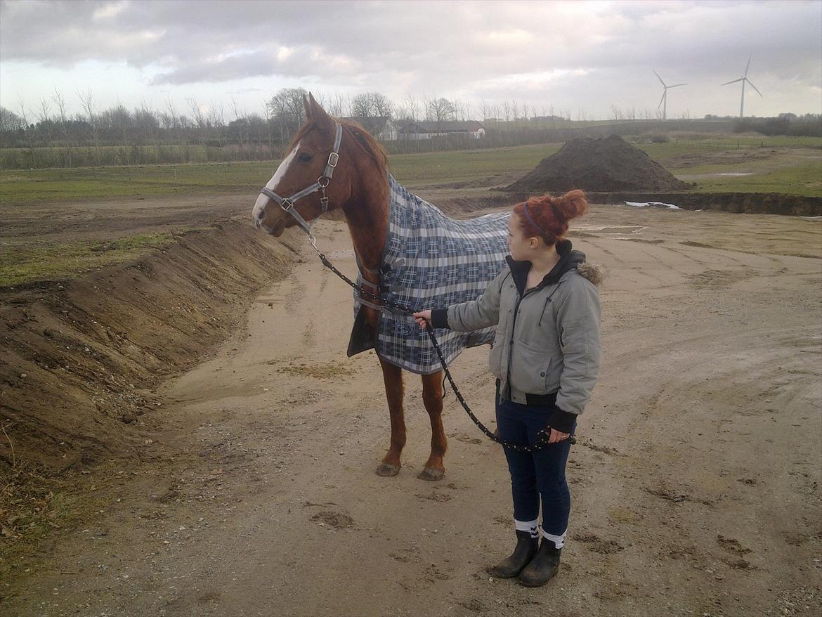 Anden særlig race Cassiopeia - Vi har kampe.. Men uanset hvad der sker vil du altid være den mest dyrebareste ting jeg ejer og nogensinde kommer til at eje..♥♥
 billede 2