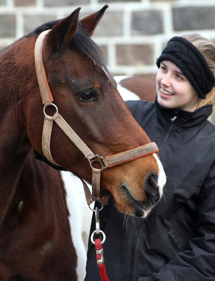 Anden særlig race Indi Falcon - Den sidste dag af mig og tykkes eventyr. Foto: Anne-Mette K.

- Jeg havde en drøm om dig og mig for altid. Vi grinte vi lo vi var altid to men det er datid.. billede 20