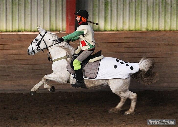 Anden særlig race Monique  drømme-ponyen MinBedsteVen - til fastelavn. nøj hvor var du dog frisk <3 FOTO : amalie reffelt billede 1