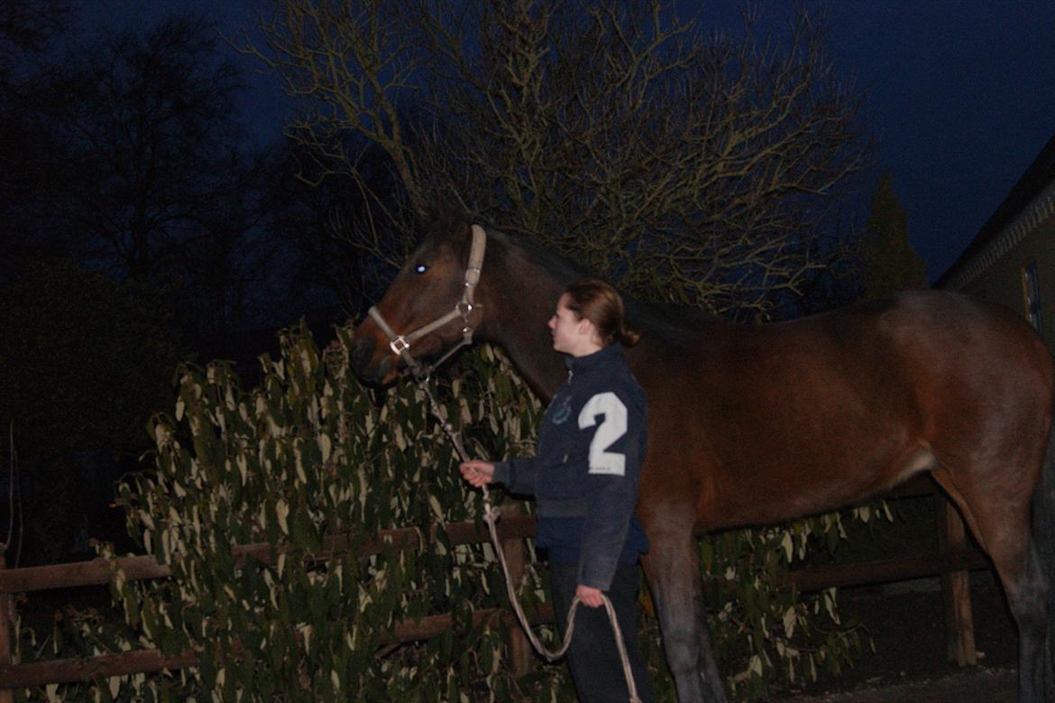 Traver Åhlunda's Edwin <3 - Nogle skal jo ødelægge billedet, idag blev det mig :-D billede 5