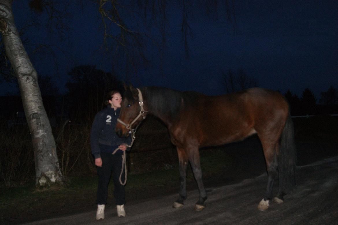 Traver Åhlunda's Edwin <3 - JEG elsker DIG! :-* billede 7