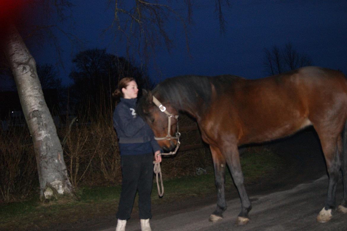 Traver Åhlunda's Edwin <3 - selvom jeg ikke har kendt dig ret længe, har du en kæmpe plads her i mit <3 billede 8