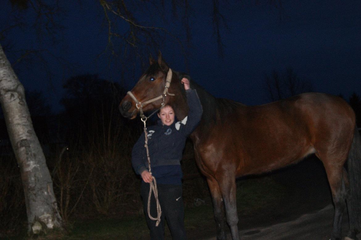 Traver Åhlunda's Edwin <3 - Du er sku godmodig :-* billede 9