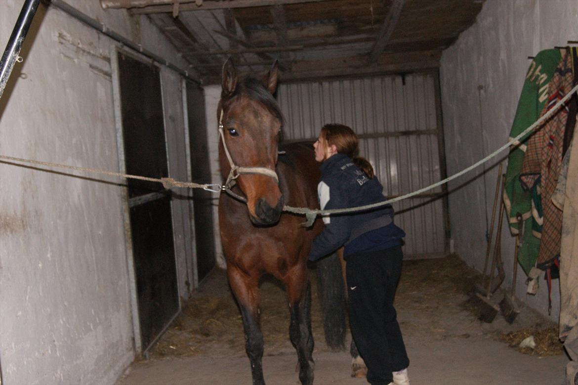 Traver Åhlunda's Edwin <3 - det er hårdt at vide at du skal væk allerede nu.. billede 10