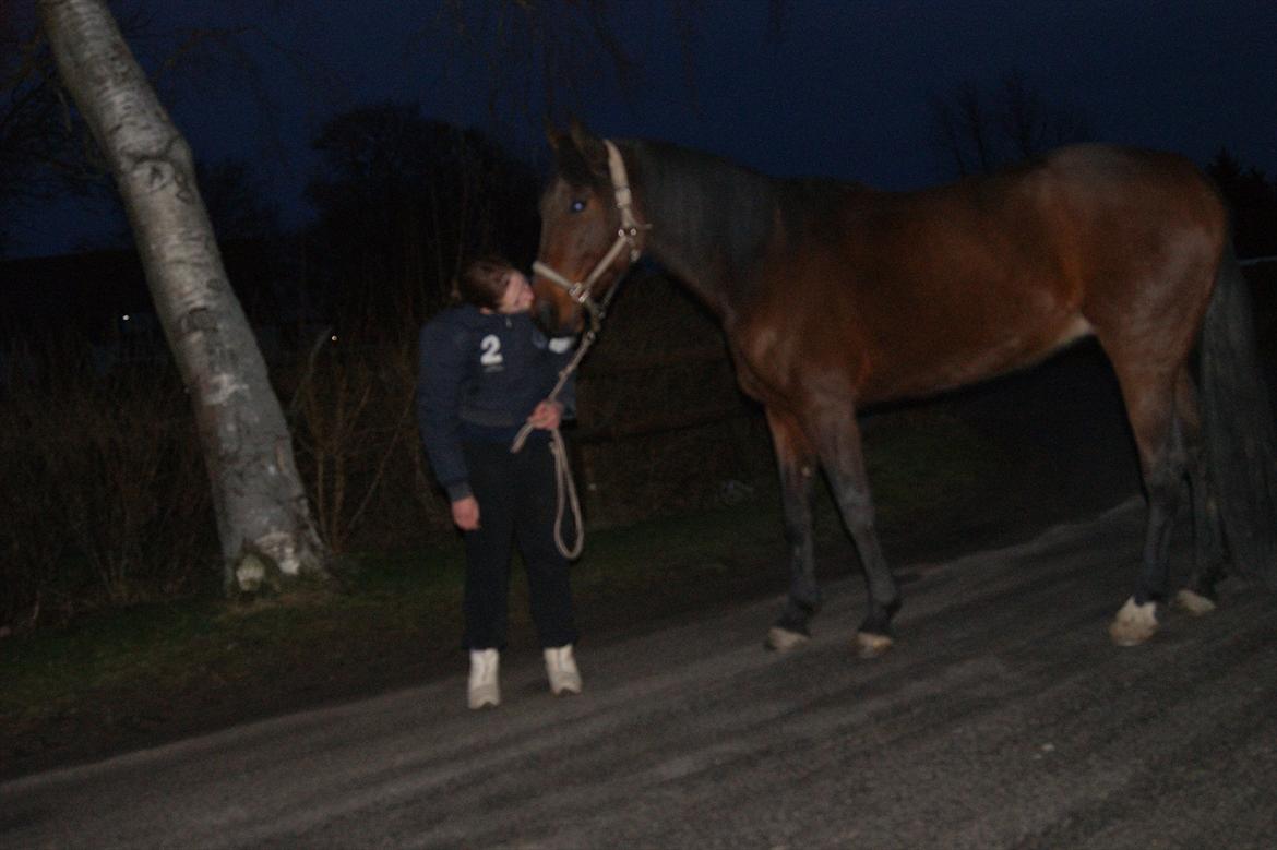 Traver Åhlunda's Edwin <3 - Jeg ved ikke hva jeg skulle gøre uden dig, du er noget ganske specielt! billede 11