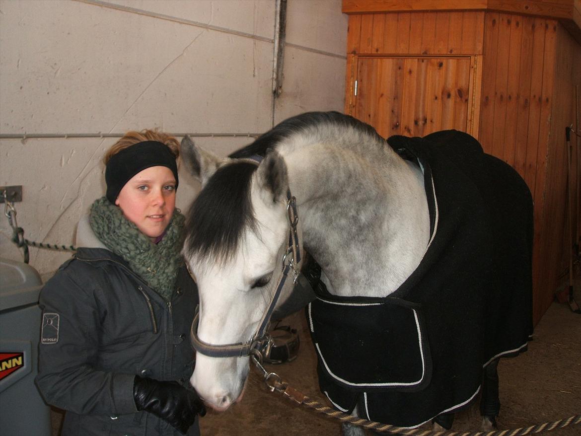 Anden særlig race Steendiek's Monte Nara (A-pony) - Min smukke Monte<3 billede 2