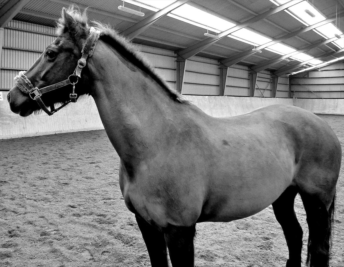 DSP Zoé Bredager - Vores eventyr er først lige begyndt!<3 billede 17