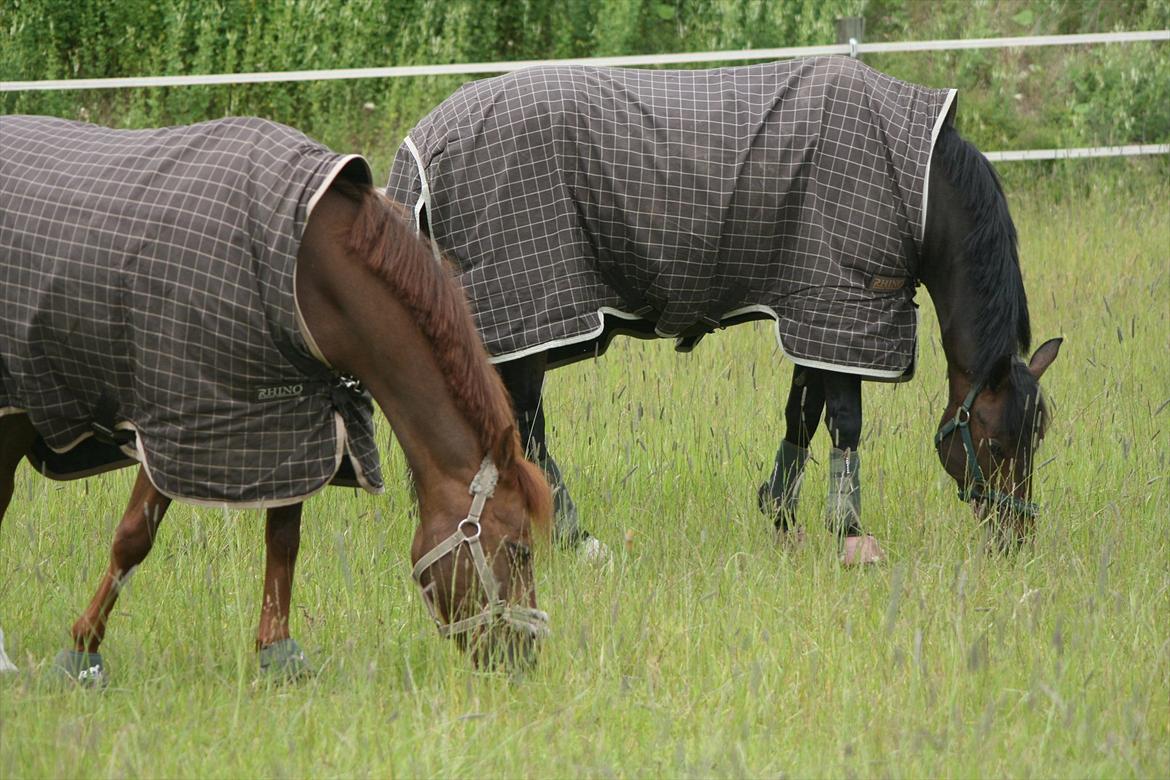 DSP Zoé Bredager - Zoé og hendes datter Poème billede 18