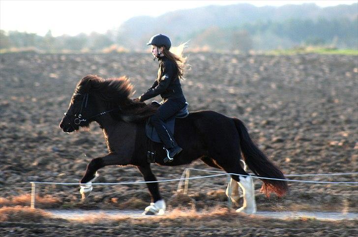 Islænder Sía fra Ankerly billede 18