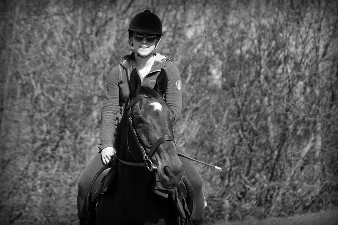 Dansk Varmblod Bjerglunds Sunlight - [d. 9/4 11] En hyggelig dag i april  billede 2