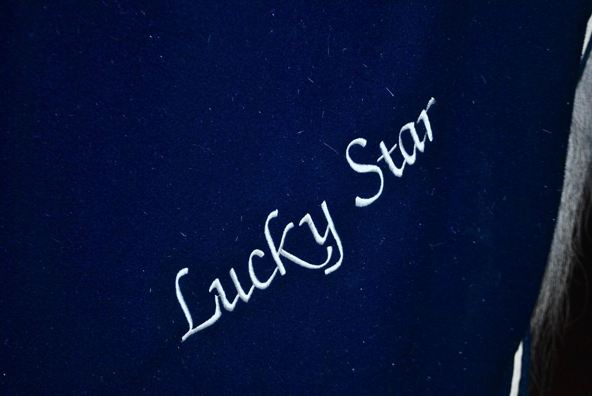 Pinto Lucky Star *Himmelhest* billede 11