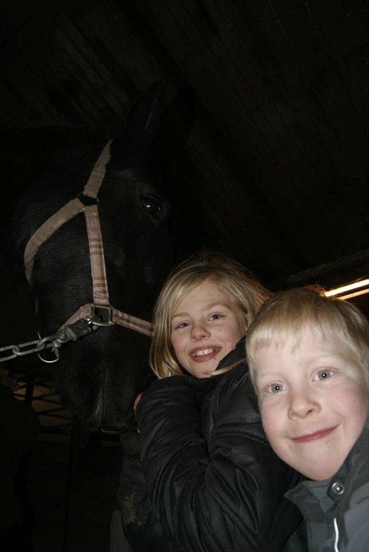 Oldenborg Guldhøj`s Chessi billede 12