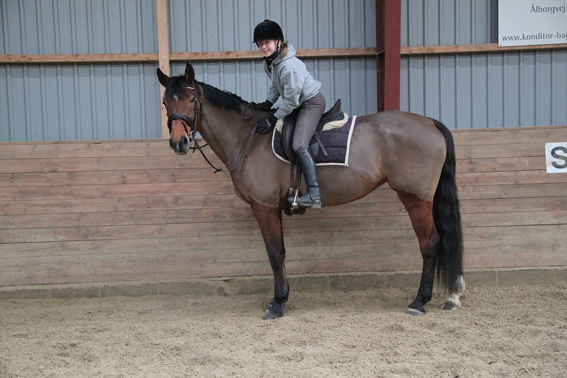 Dansk Varmblod Nicole - stemningsbillede - Nicole og jeg den 21-01-2012 billede 2