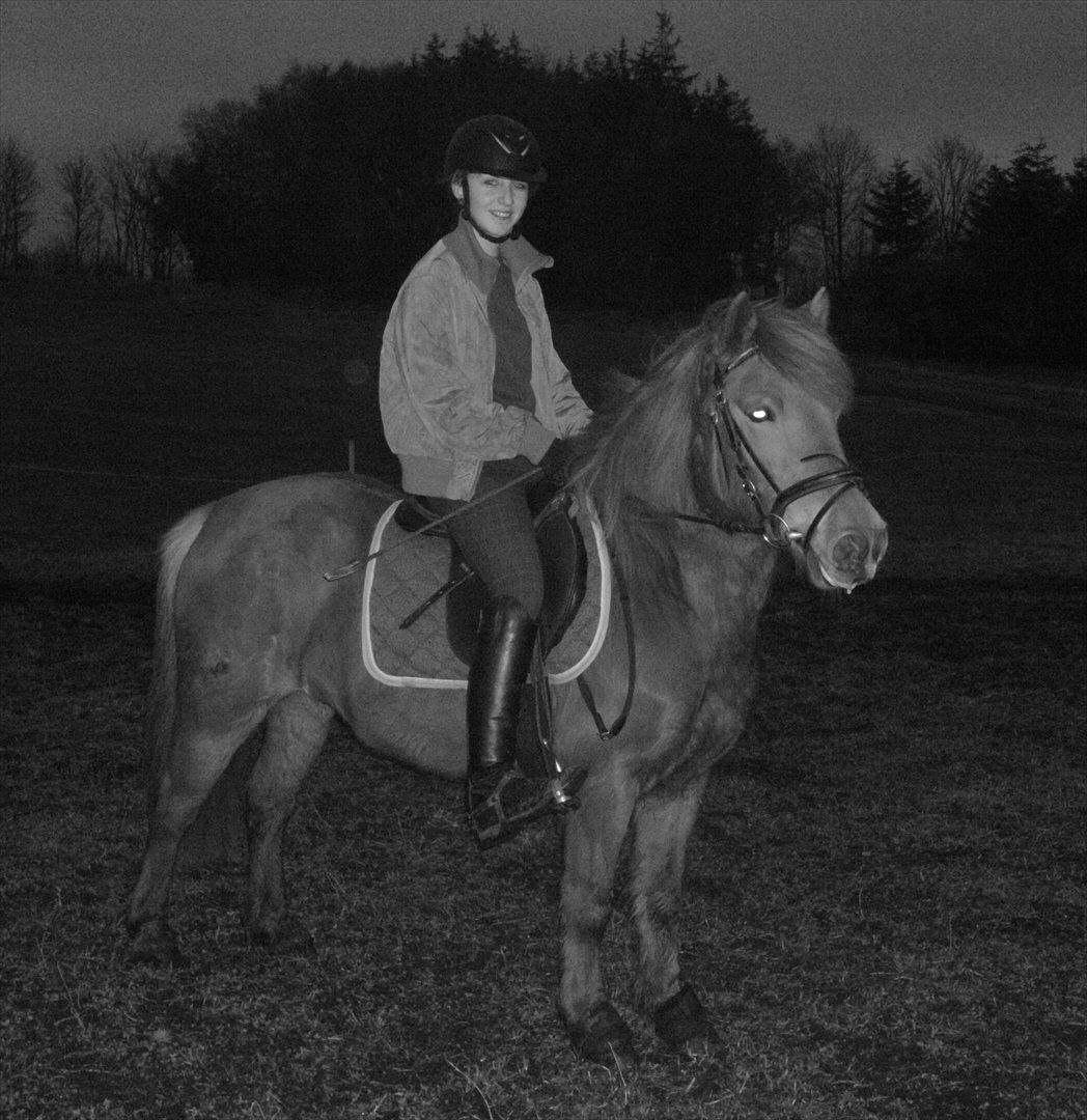 Anden særlig race Rosa ( Rider op)  billede 4