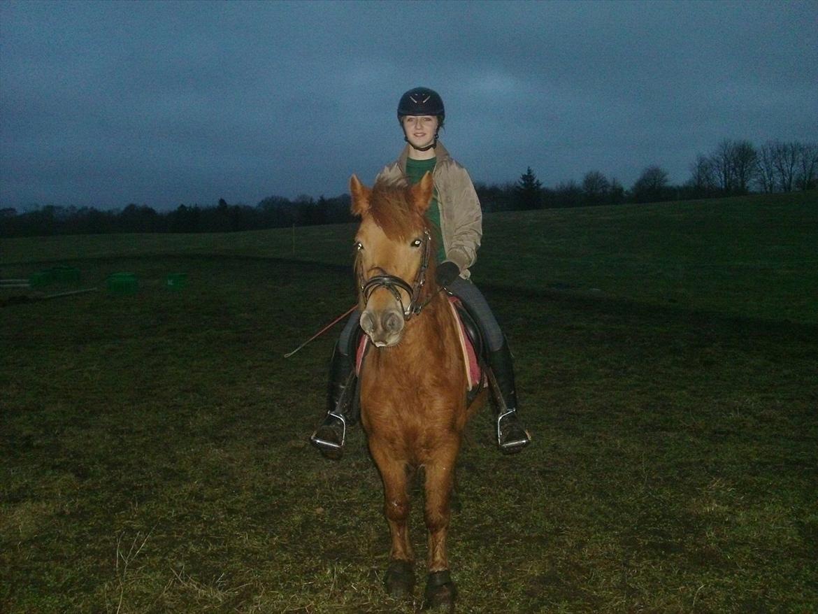 Anden særlig race Rosa ( Rider op)  - Lille pony pige <3
 billede 2