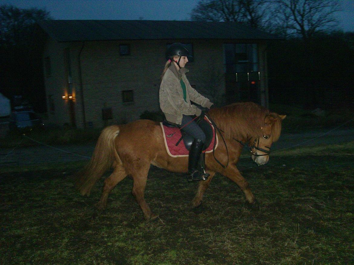 Anden særlig race Rosa ( Rider op)  - Tihi fine pony <3
 billede 6