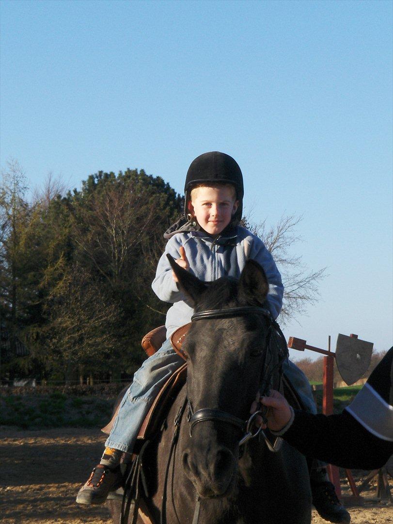 Anden særlig race sibbe - emil får en tur på sibbe til helenas 1 år følsdag billede 2