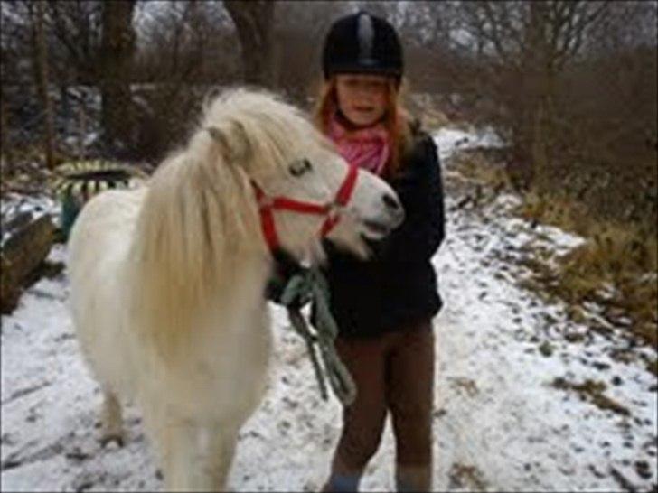 Shetlænder Jubeelii (Bide dyret <3) - Det var så den sidste dag på Jubeelii :'(
Glæder mig til at se dig igen :') billede 10