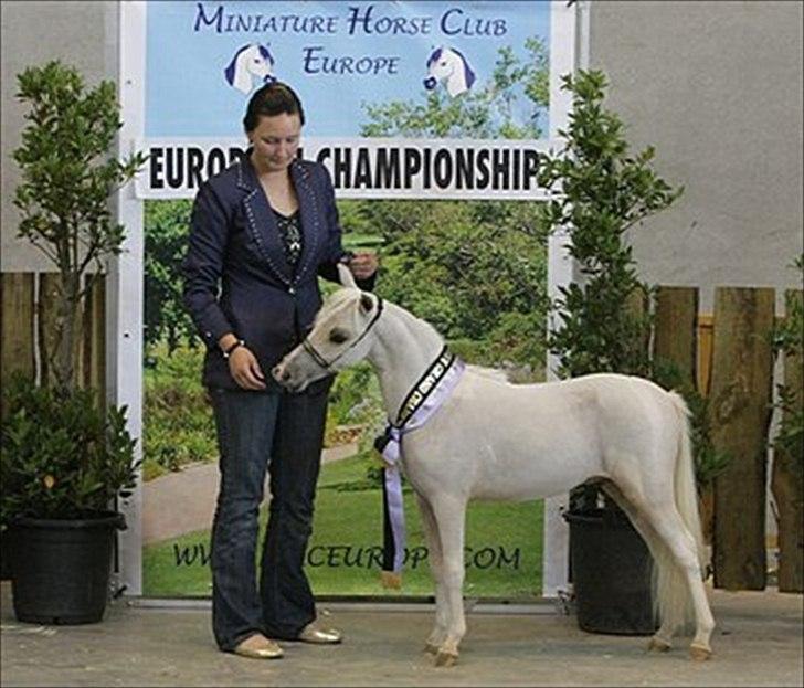 Amerikansk Miniature ***Entertainer*** - Entertainer til MHCE Europpean Championship 2010. 
Foto: Kristian Nielsen billede 10