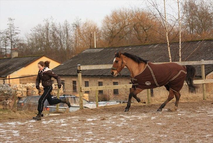 Anden særlig race | Luna   [Min bedsteven] - © Luna og jeg fjoller. Det er ret stort at Luna løber frivilligt efter mig i galop, da hun før i tiden var meeeeget doven oppe på banen ;-).
Fotograf - MLS / Vinter-Forår 2012. billede 9