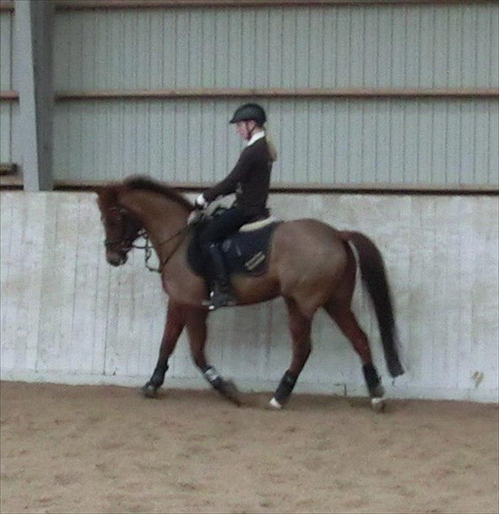 DSP Zoé Bredager - Zoé og jeg. 21. februar 2012. <3 billede 19