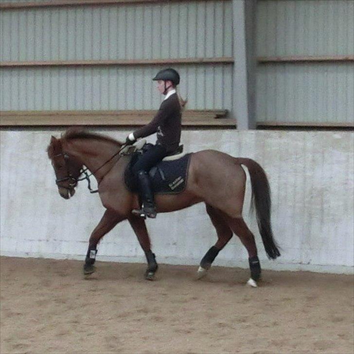 DSP Zoé Bredager - Zoé og jeg. 21. februar 2012. <3 billede 20