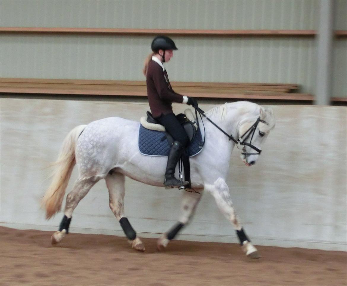 DSP Siska Bredager - 21. februar 2012. <3 billede 10