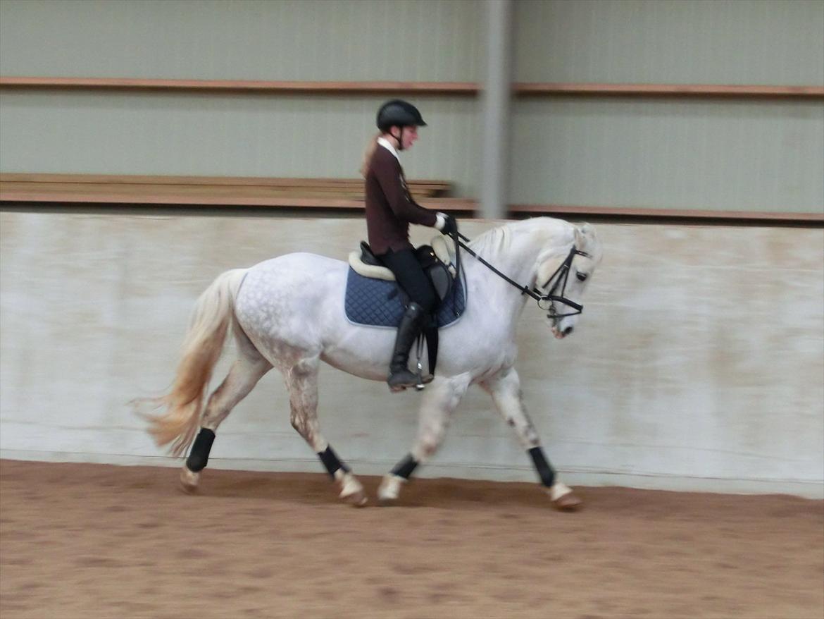 DSP Siska Bredager - 21. februar 2012. <3 billede 11