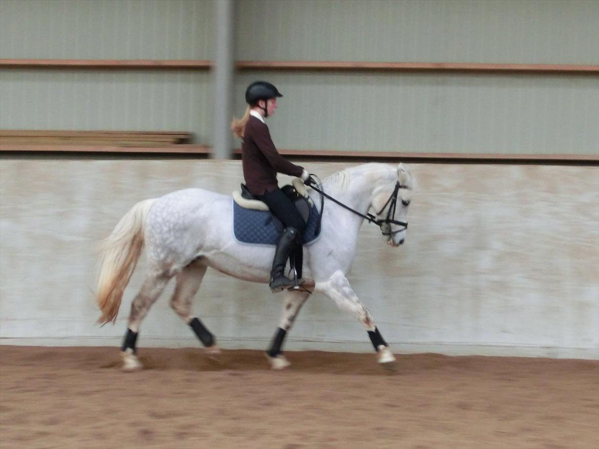 DSP Siska Bredager - 21. februar 2012. <3 billede 12