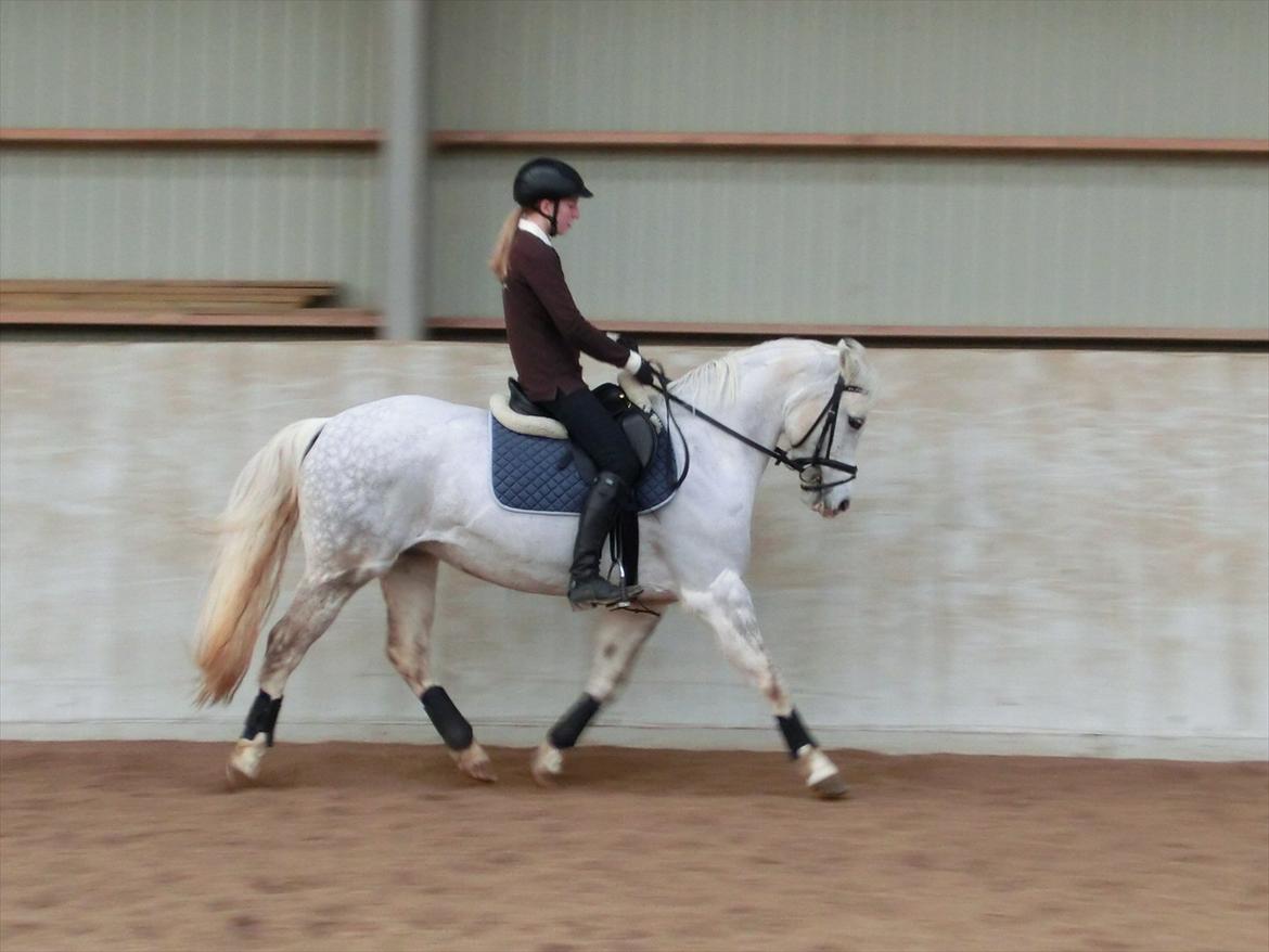 DSP Siska Bredager - 21. februar 2012. <3 billede 13