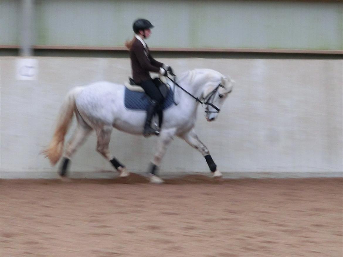 DSP Siska Bredager - 21. februar 2012. <3 billede 14