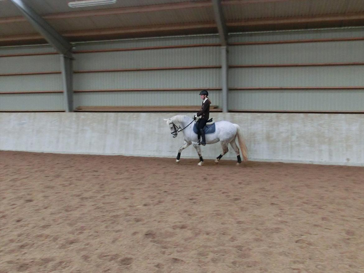 DSP Siska Bredager - 21. februar 2012. <3 billede 15