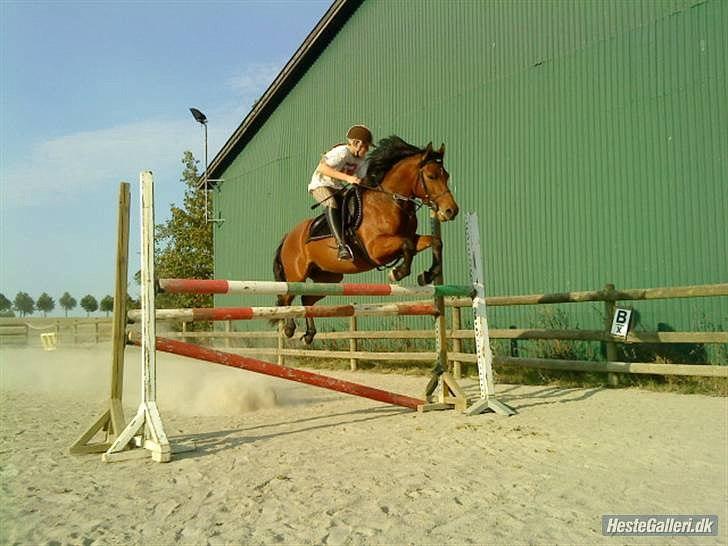 Anden særlig race OZZY - OZZY og min storesøster. :) billede 6