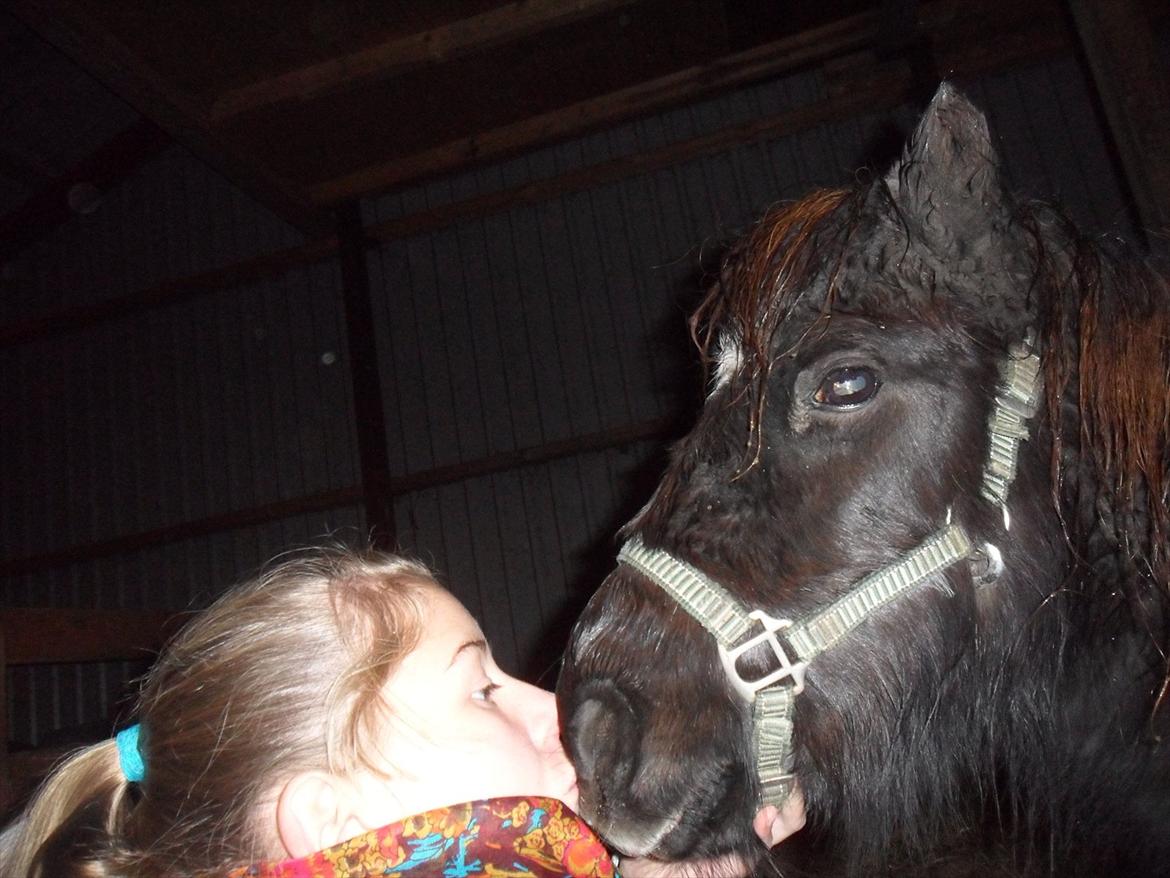 Miniature Stella - Prinsesse<3 billede 3