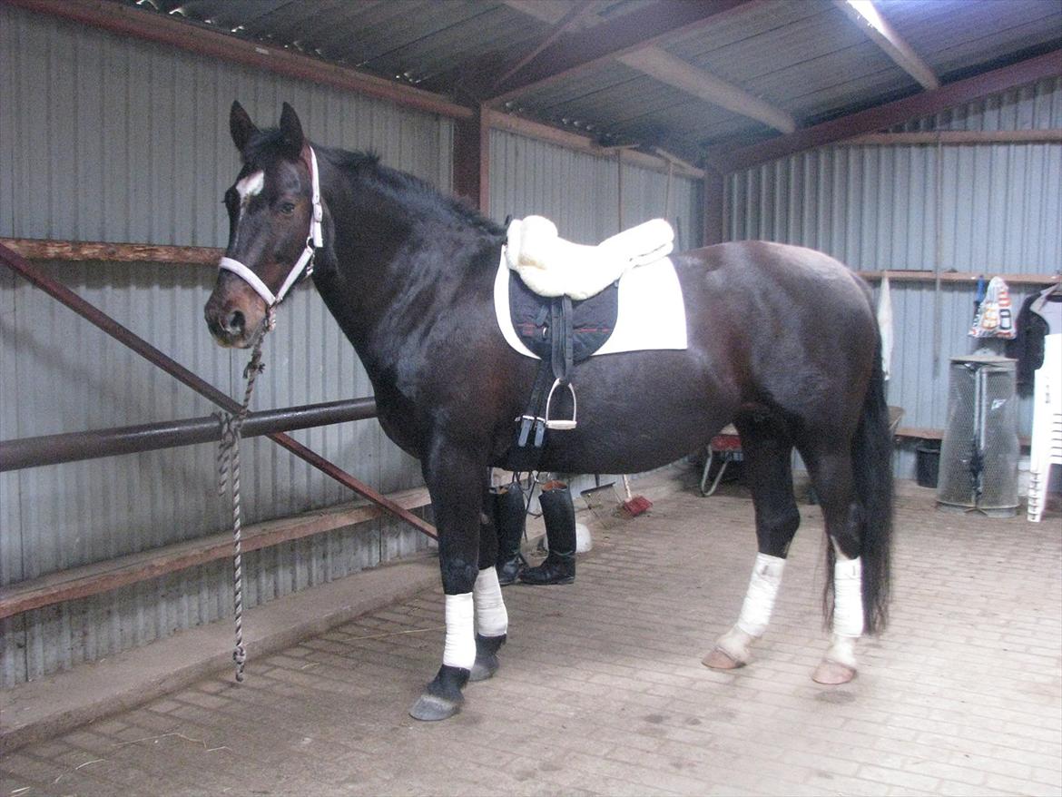 Oldenborg Etasja af Hvarre billede 8