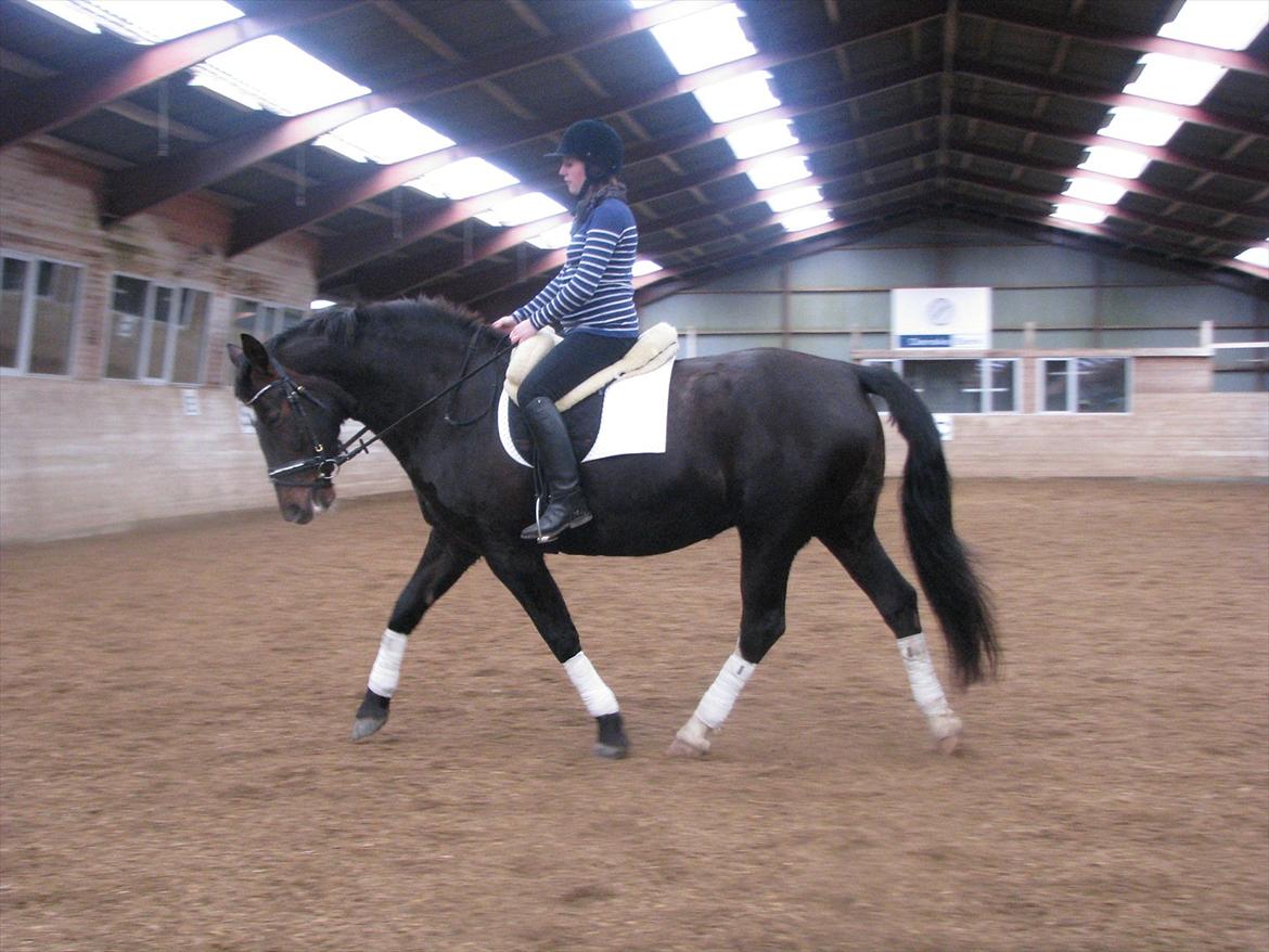 Oldenborg Etasja af Hvarre billede 10