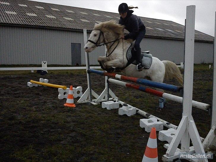 Knabstrupper Prins - sommer-efterår 2011
Fotograf - Anne 
Min lille stjerne part <3 billede 6