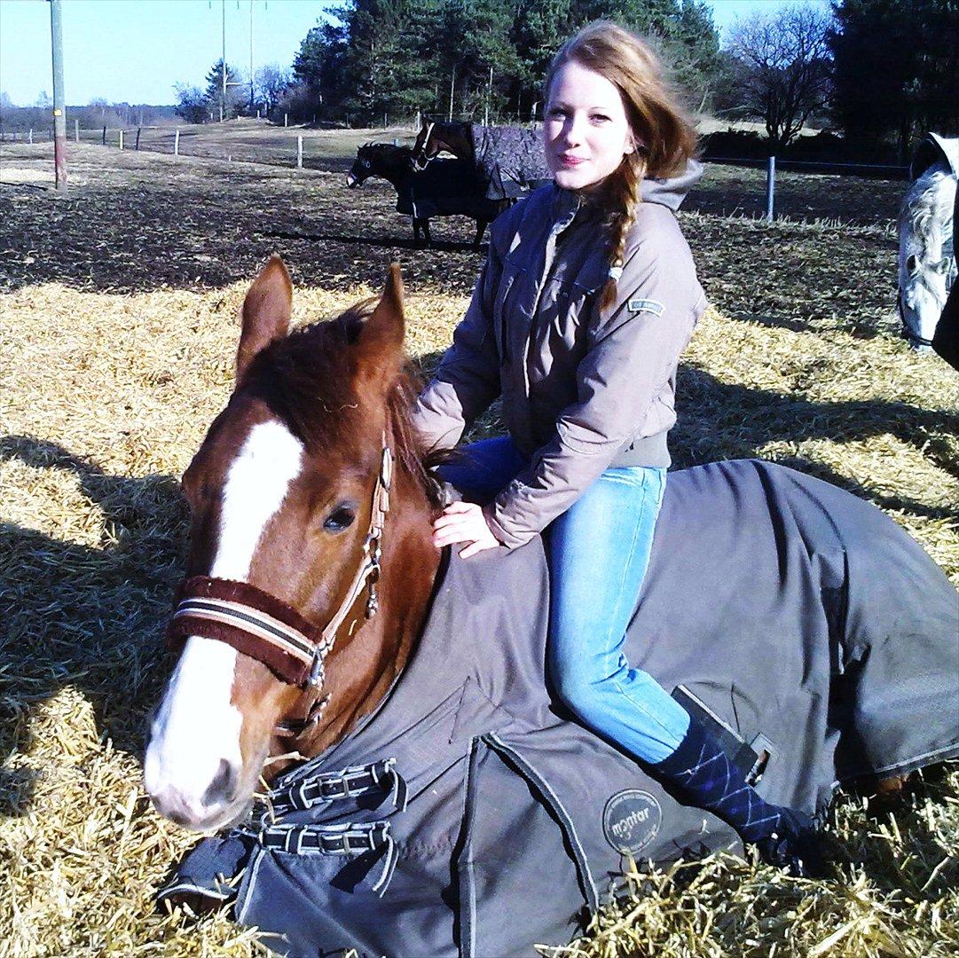 New Forest Damgårds Maja billede 9