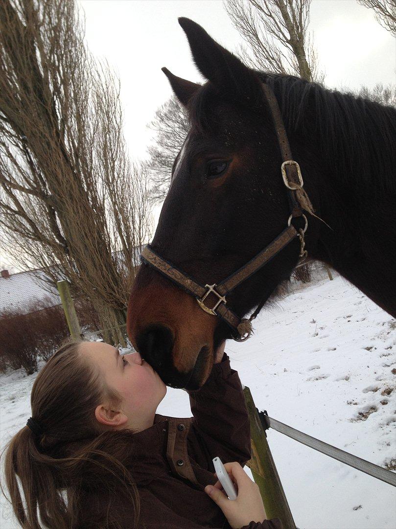 Oldenborg Højgaards Santos billede 3