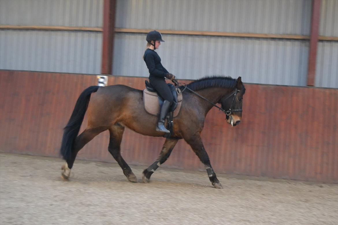 Oldenborg Felix Dupont - 16. billede 16