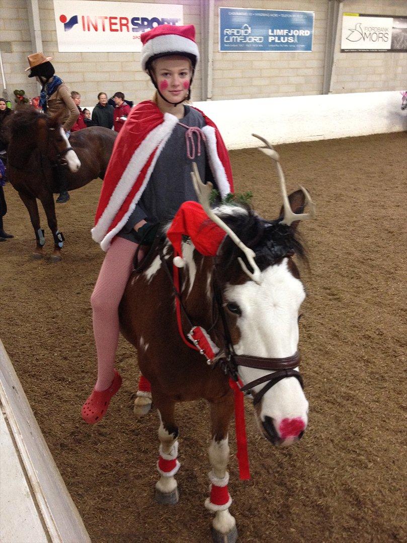 Pinto Diamond<3. billede 14