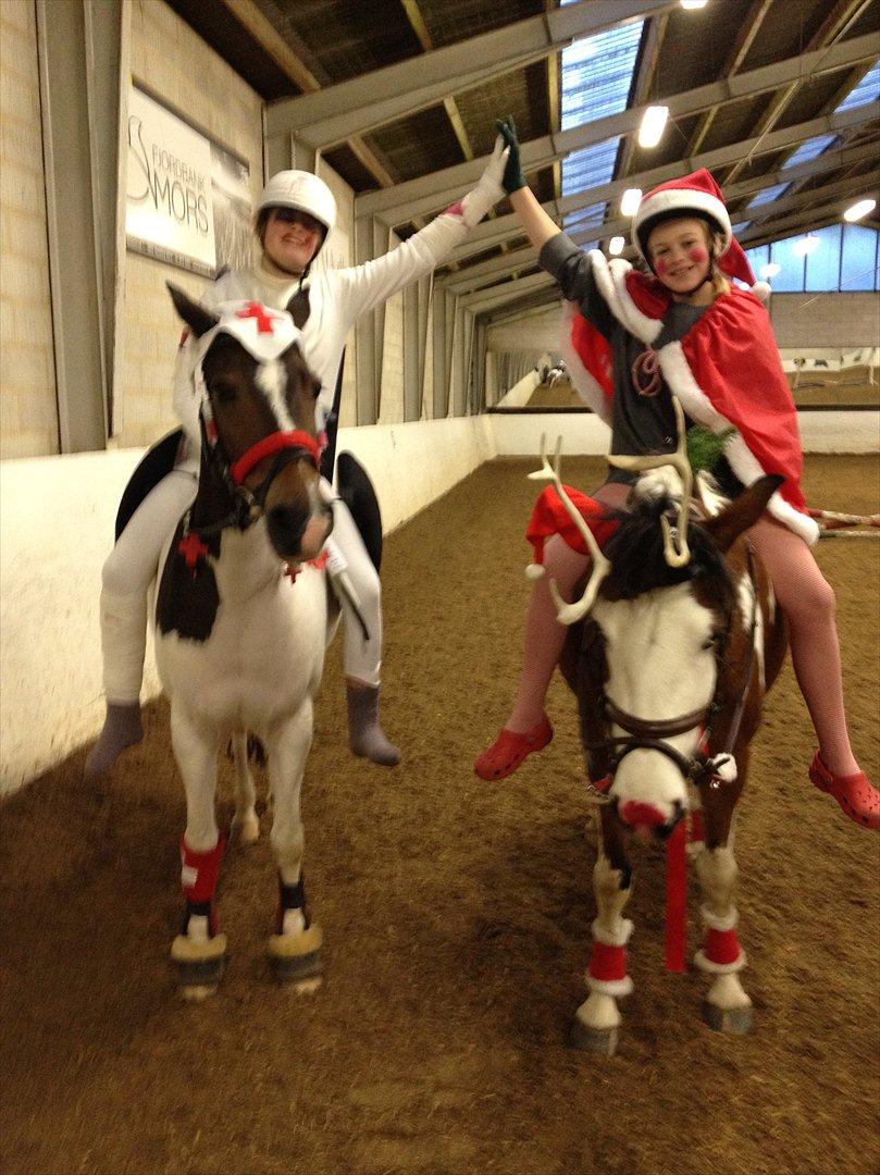 Pinto Diamond<3. billede 5