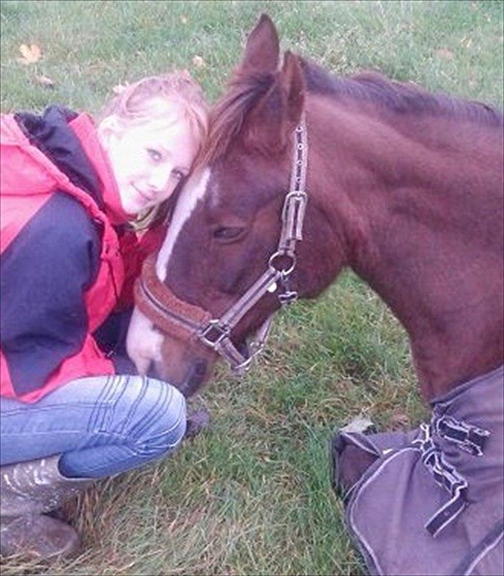 New Forest Damgårds Maja billede 14