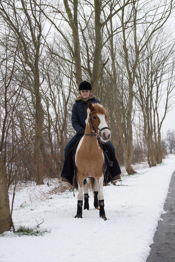 Anden særlig race Lucas  - Lucas og jeg i sneen :-) billede 3