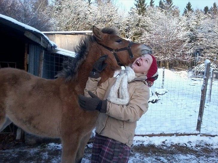 Anden særlig race Søgaard's Rinse - Billede fra ny ejer billede 16