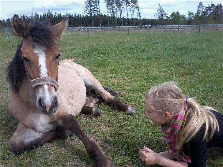 Anden særlig race Søgaard's Rinse - Billede fra ny ejer billede 18