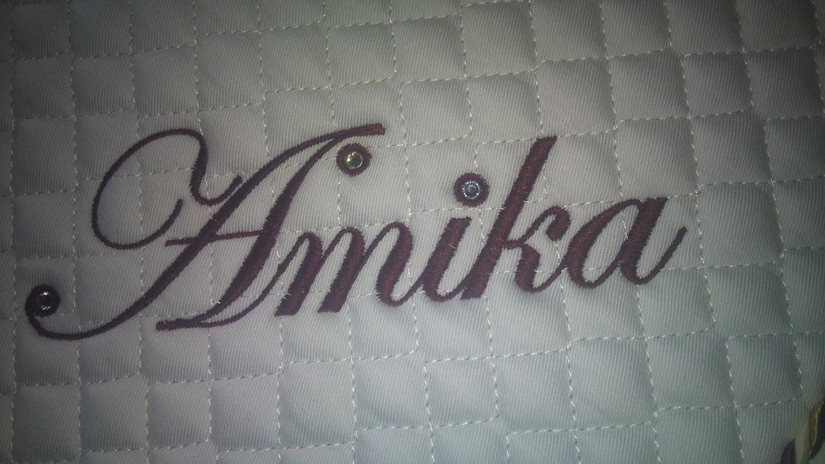 Dansk Varmblod amika - hendes stævnre underlag;)  billede 12