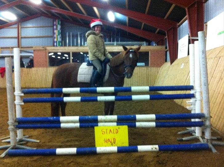 Anden særlig race Ponygården's Megara - Højte springning til undervisning:) Megara og jeg var dem der sprang højest på vores hold:) 100cm :)
"Hvis man ikke bliver ved, når man ikke hvad man kan og vil..." billede 11
