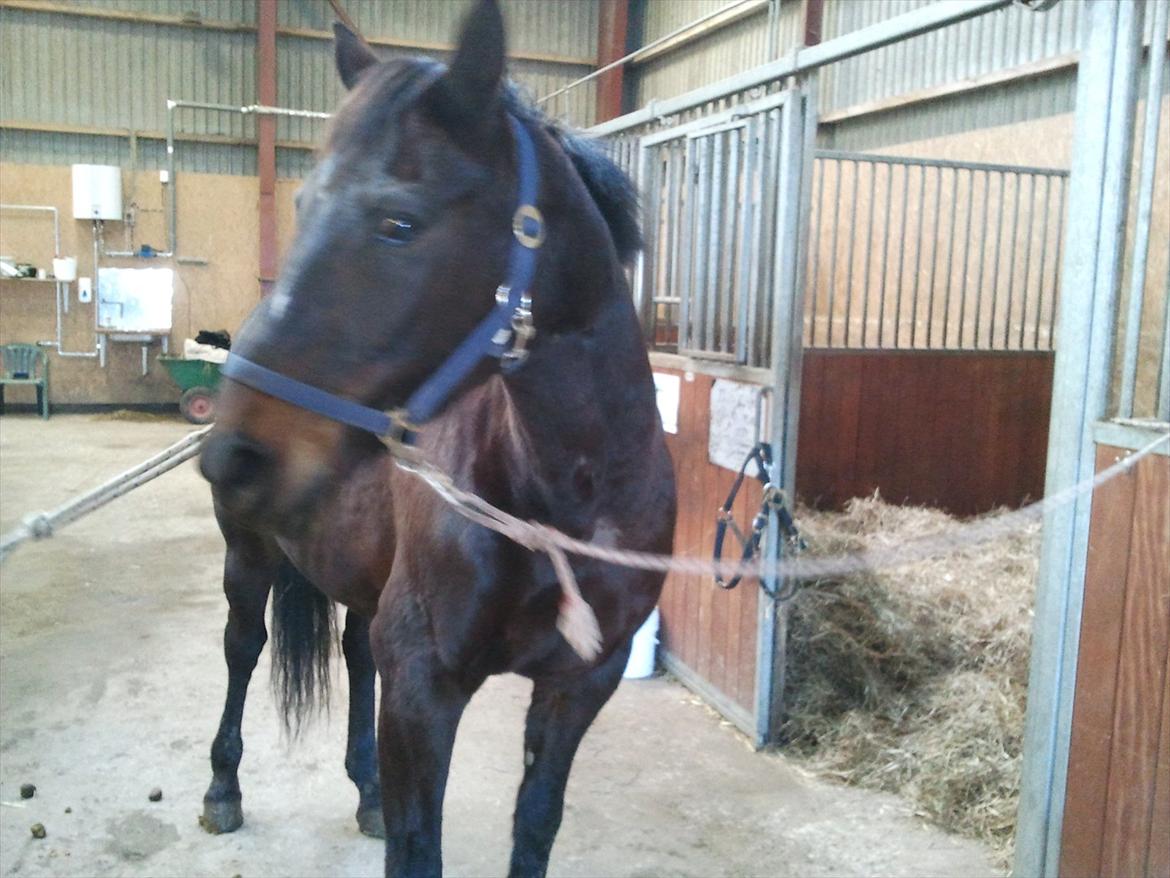 Traver Missey <3 billede 8